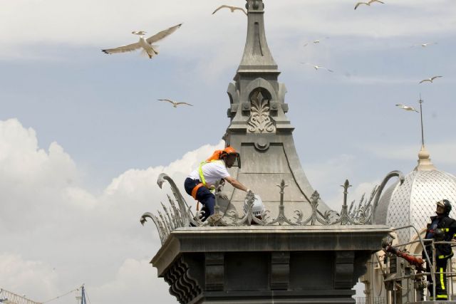 El Ayuntamiento de Cartagena pide la colaboración ciudadana para controlar la población de las gaviotas patiamarillas - 1, Foto 1