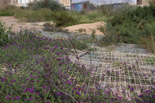 Ciudadanos denuncia el derrumbe de la valla que protege el Parque Arqueológico del Molinete y su estado de abandono - 1, Foto 1