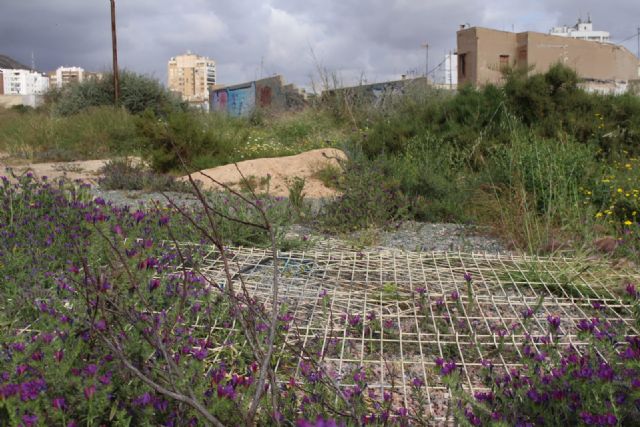 Ciudadanos denuncia el derrumbe de la valla que protege el Parque Arqueológico del Molinete y su estado de abandono - 3, Foto 3