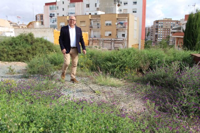 Ciudadanos denuncia el derrumbe de la valla que protege el Parque Arqueológico del Molinete y su estado de abandono - 4, Foto 4