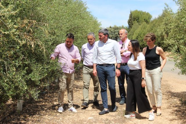 Luengo pone de relieve la importancia de la cría de ganado de lidia para preservar la biodiversidad - 1, Foto 1