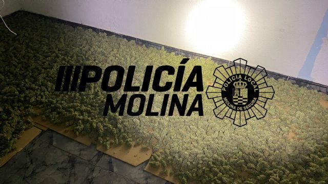 La Policía Local de Molina de Segura localiza una plantación de marihuana en una vivienda - 1, Foto 1