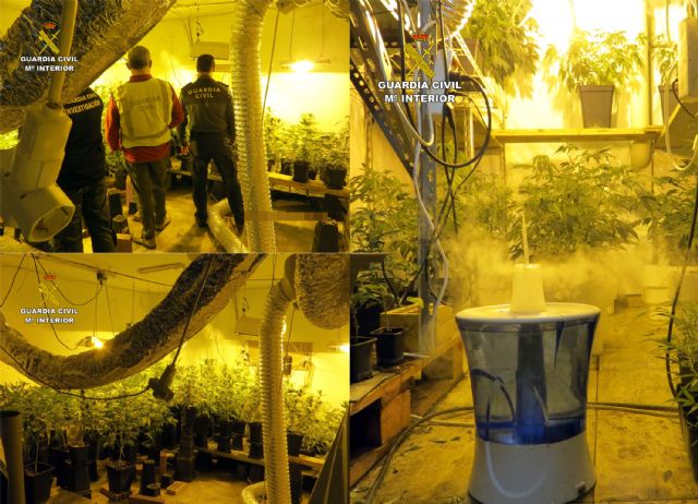 La Guardia Civil detiene a los miembros de una asociación dirigida al estudio del uso terapéutico del cannabis - 5, Foto 5