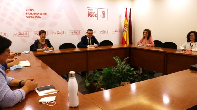 El PSOE exige al Gobierno regional que refuerce las inspecciones y elabore un nuevo modelo de residencias de mayores y personas dependientes - 1, Foto 1