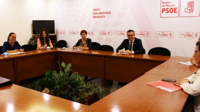 El PSOE exige al Gobierno regional que refuerce las inspecciones y elabore un nuevo modelo de residencias de mayores y personas dependientes - 2, Foto 2