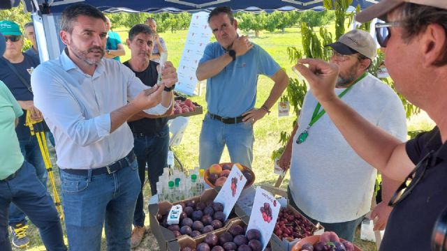 El IMIDA presenta nuevas variedades de fruta de hueso que optimizan la producción y están mejor adaptadas al cambio climático - 1, Foto 1