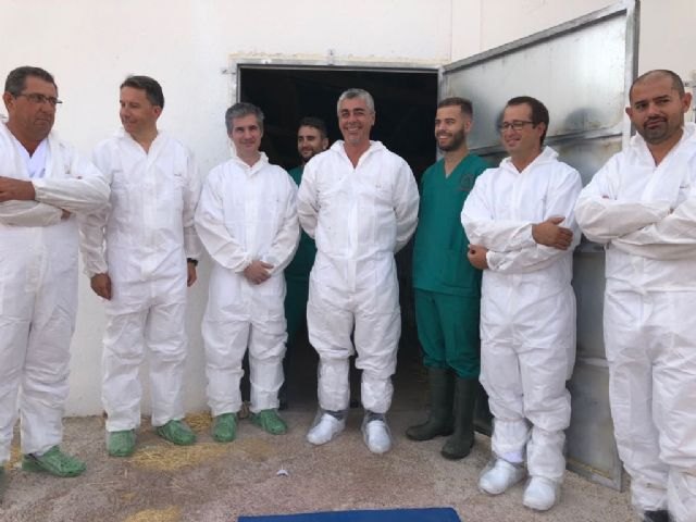 El centro regional de inseminación artificial de porcino de Lorca amplía su capacidad para 40 nuevas cabezas - 1, Foto 1