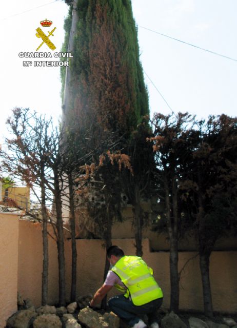 La Guardia Civil detiene a un pirómano dedicado a prender fuego a vehículos y viviendas de Águilas - 2, Foto 2