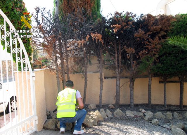 La Guardia Civil detiene a un pirómano dedicado a prender fuego a vehículos y viviendas de Águilas - 3, Foto 3