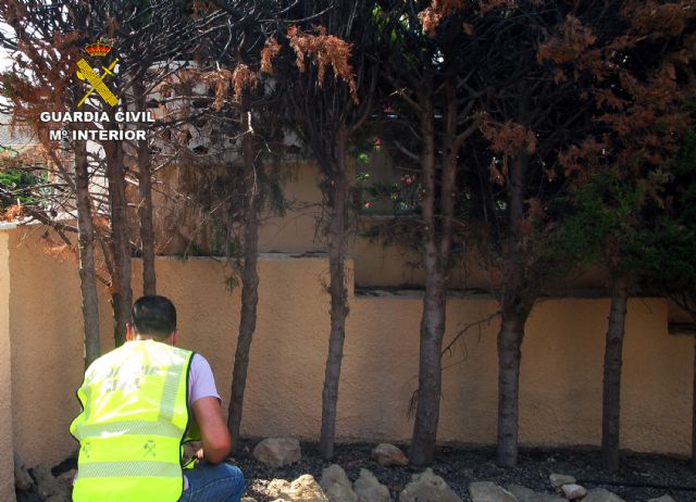 La Guardia Civil detiene a un pirómano dedicado a prender fuego a vehículos y viviendas de Águilas - 4, Foto 4