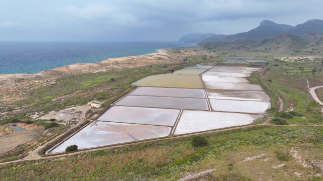 Mejoras en Las Salinas del Rasall: Conservación y Biodiversidad en Acción - 1, Foto 1