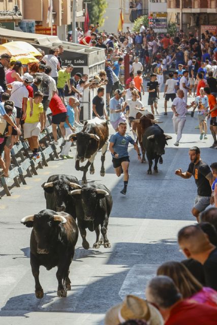 Los novillos de Carlos Núñez protagonizan un tercer encierro limpio y emocionante en Blanca - 2, Foto 2