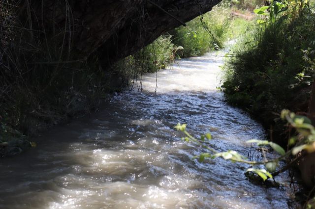 Huermur reclama a la CHS un caudal ecológico en las acequias de la Huerta de Murcia para evitar daños medioambientales - 1, Foto 1