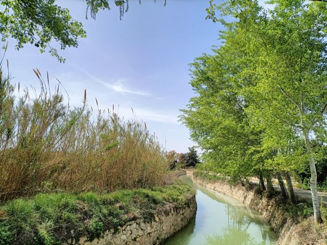 Huermur reclama a la CHS un caudal ecológico en las acequias de la Huerta de Murcia para evitar daños medioambientales - 2, Foto 2