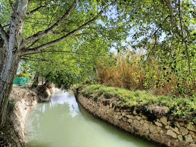 Huermur reclama a la CHS un caudal ecológico en las acequias de la Huerta de Murcia para evitar daños medioambientales - 3, Foto 3