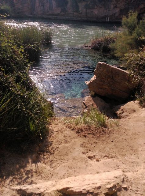 Manantial del Gorgotón. Ecologistas en Acción de la Región Murciana., Foto 1