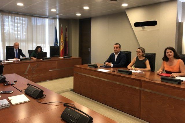 El PP solicita en la Asamblea una tarjeta sanitaria propia para menores dependientes o con discapacidad - 1, Foto 1