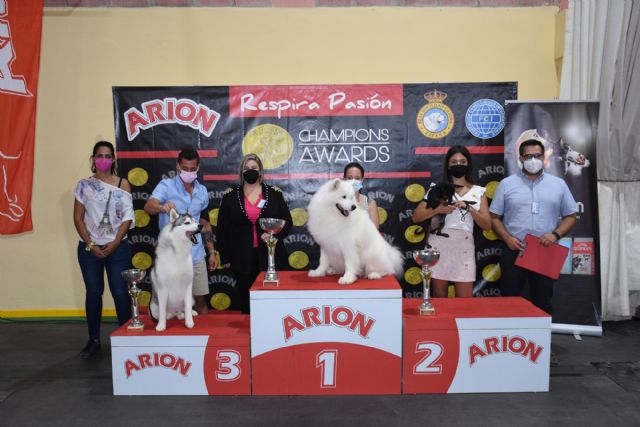 XIV Concurso Nacional Canino de Calasparra - 2, Foto 2