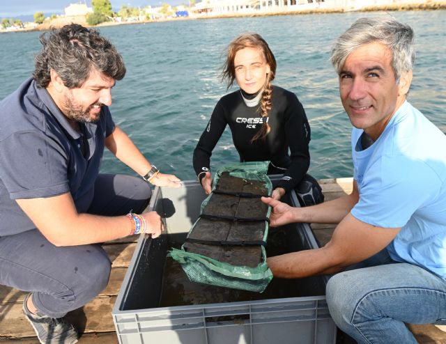 López Miras afirma que la extracción de la primera pieza del pecio de Mazarrón supone un día histórico para la Región y un hito para la investigación - 1, Foto 1