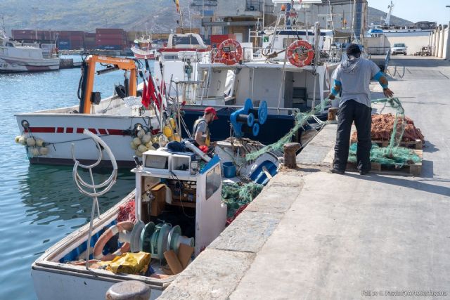 El Ayuntamiento de Cartagena apoya con diez mil euros la modernización del sistema de subasta de la Cofradía de Pescadores - 1, Foto 1