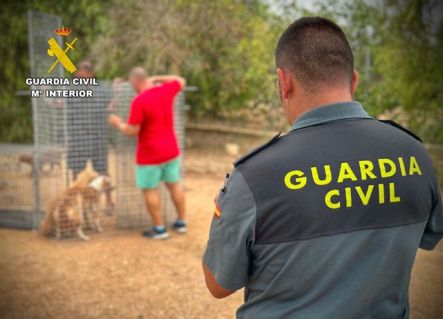 La Guardia Civil rescata una treintena de perros abandonados en Mula y Pliego - 3, Foto 3