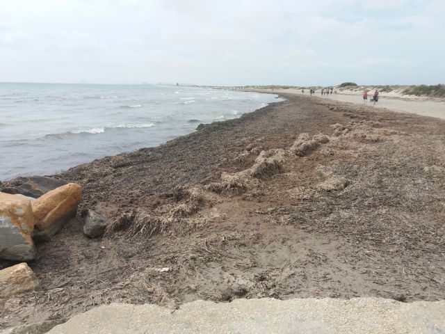 Visto bueno ambiental al acondicionamiento de la playa de La Llana - 1, Foto 1