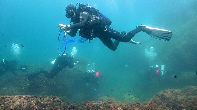 Sanex y Equilibio Marino tienen como objetivo recolectar más de 8000kg de basura de los mares españoles - 1, Foto 1