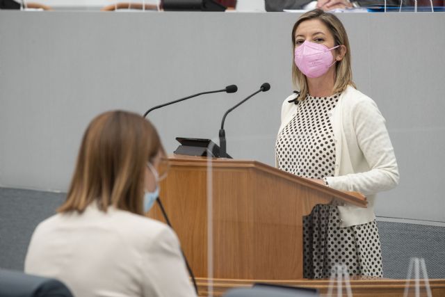 La Asamblea solicita al Gobierno de España, a instancias del PP, reservar 4.200 millones para crear un Fondo transitorio de nivelación para las comunidades más castigadas - 1, Foto 1