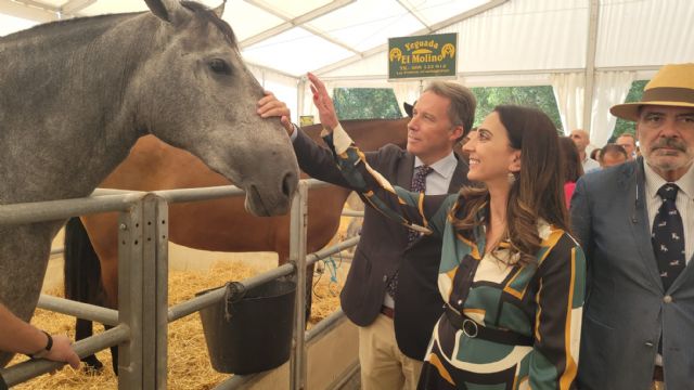 La Región de Murcia cuenta con 2.400 explotaciones equinas y más de 10.000 caballos, de los que la mitad son pura raza española - 1, Foto 1