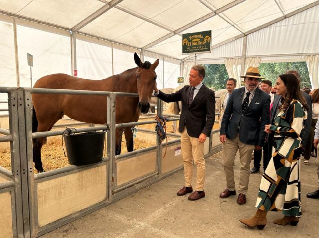 El alcalde inaugura la Feria del Caballo de Lorca que se convierte en el concurso con mayor presencia del calendario de nuestro país - 2, Foto 2