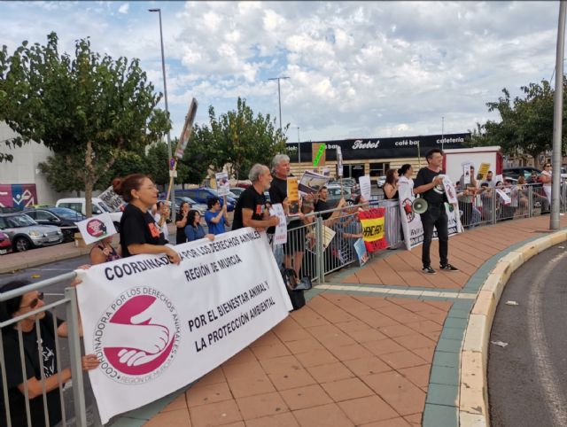 Activistas y organizaciones en La Unión se unen para decir NO al maltrato animal y exigen el fin de las novilladas - 1, Foto 1