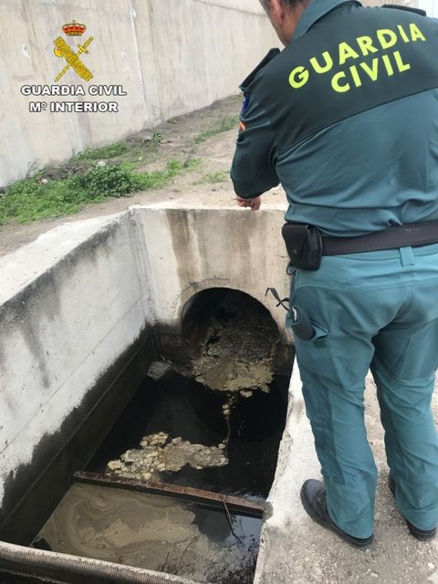 La Guardia Civil investiga a más de 70 personas por delitos vinculados a la contaminación marina - 3, Foto 3