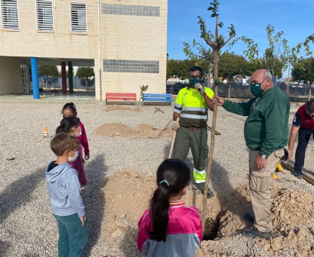 El Plan Foresta llega a todos los colegios de las pedanías del municipio - 4, Foto 4