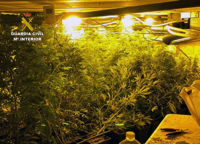 La Guardia Civil desmantela un invernadero subterráneo de con cerca de un millar de plantas de marihuana - 2, Foto 2