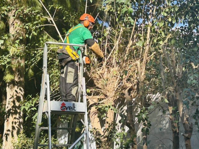 Comienzan las actuaciones del Plan para la Conservación y Mejora de los Espacios Verdes Municipales, Foto 2