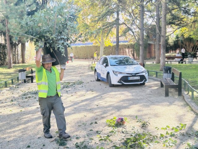 Comienzan las actuaciones del Plan para la Conservación y Mejora de los Espacios Verdes Municipales, Foto 3