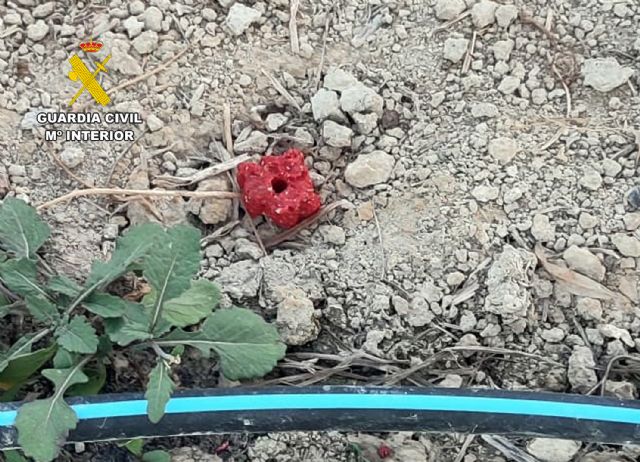 La Guardia Civil investiga a un agricultor por usar venenos en una finca de Mula - 5, Foto 5