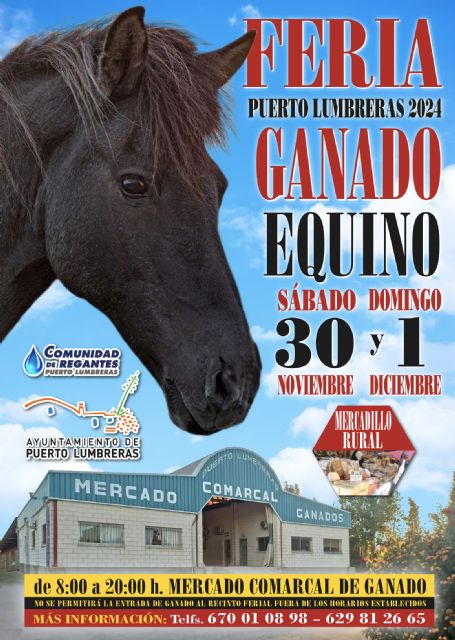 La tradicional Feria del Ganado Equino de Puerto Lumbreras se celebrará el 30 de noviembre y el 1 de diciembre en el Mercado Comarcal de Ganado - 2, Foto 2