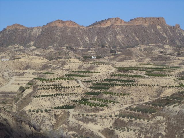 Cambiemos Murcia alerta de la roturación masiva de tierras en el sur del municipio - 1, Foto 1