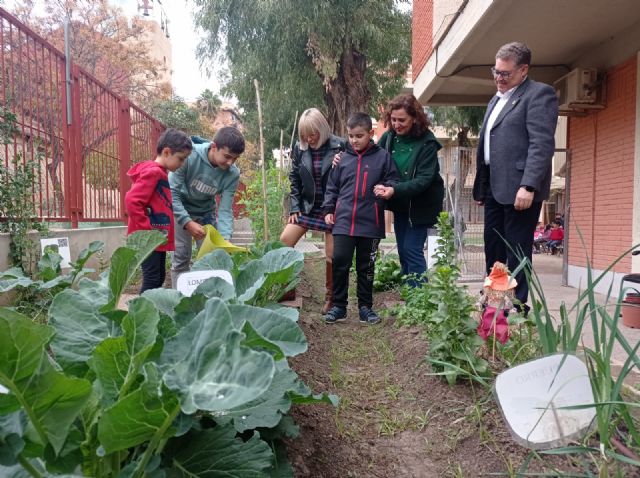 El Ayuntamiento de Murcia continúa con la plantación de más de 120 árboles frutales en los huertos escolares del municipio - 4, Foto 4