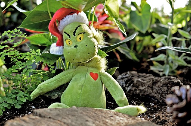 Síndrome del Grinch: de la melancolía al odio por las navidades.Tips para superar el mal humor típico de estas fechas - 1, Foto 1