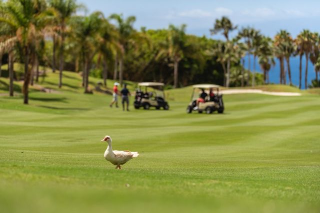 La otra cara del golf: pulmón y protector de la biodiversidad - 3, Foto 3