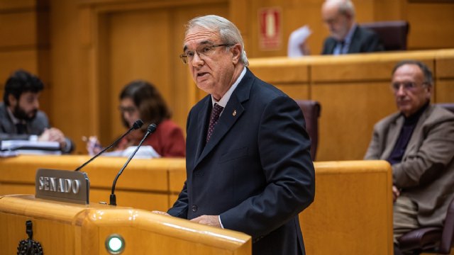 VOX, al PSOE: «Los traficantes de personas están encantados con sus políticas de fronteras abiertas» - 1, Foto 1