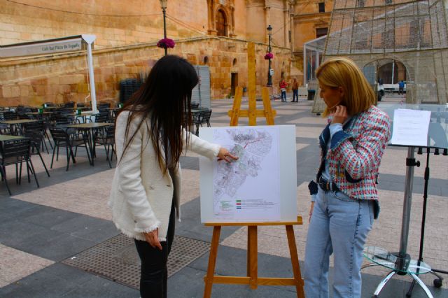 Lorca modificará el proyecto de Zonas de Bajas Emisiones para adecuarlo a la realidad del municipio: es el plan el que tiene que adaptarse a Lorca, no Lorca al plan - 3, Foto 3