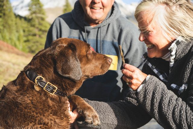 Purina y Hospital Universitario Poniente: Lanzan proyecto pionero que permite visitas autorizadas de mascotas en hospitales - 1, Foto 1