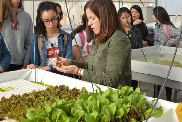 Más de 450 estudiantes de ESO y Bachillerato pasan una mañana con una investigadora de la UPCT para conocer el trabajo científico - 2, Foto 2