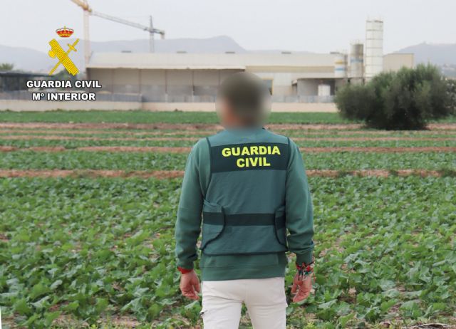 La Guardia Civil destapa en una finca de Alhama de Murcia un caso de explotación laboral - 2, Foto 2