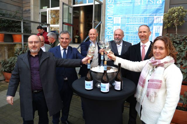 La UPCT demuestra que las viñas sombreadas por paneles solares producen vino de la misma calidad - 1, Foto 1