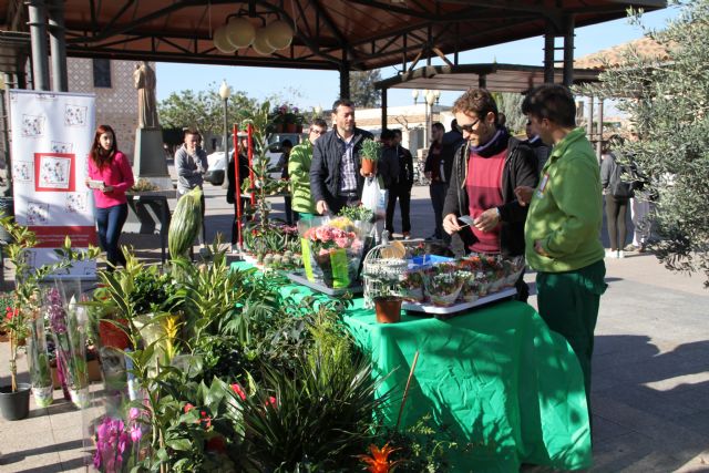 Astrapace visita la UCAM con un stand de venta de plantas aromáticas por San Valentín - 2, Foto 2