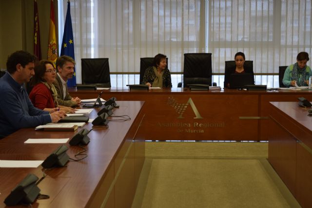 La Asamblea respalda el apoyo de la Región de Murcia al Año Europeo del Patrimonio Cultural - 1, Foto 1